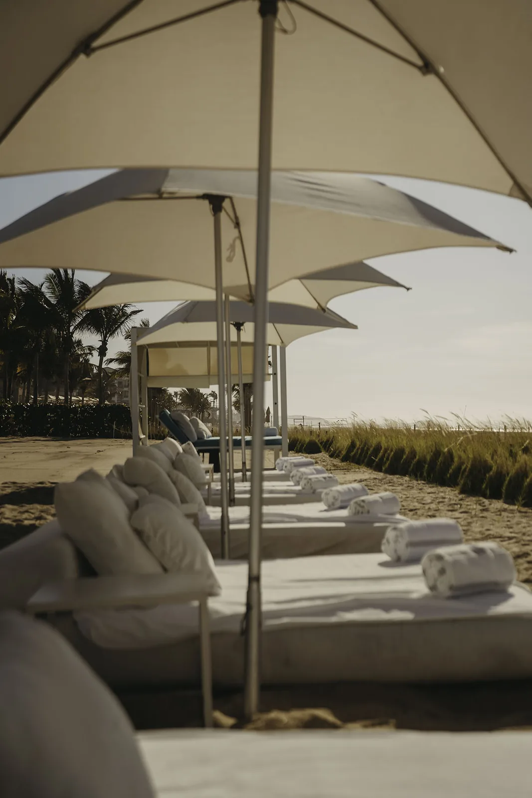 Viceroy Los Cabos: Suda Yüzen Brütalist Anıtlar