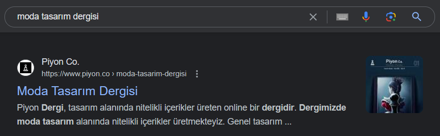 Google Arama Sonuçları
