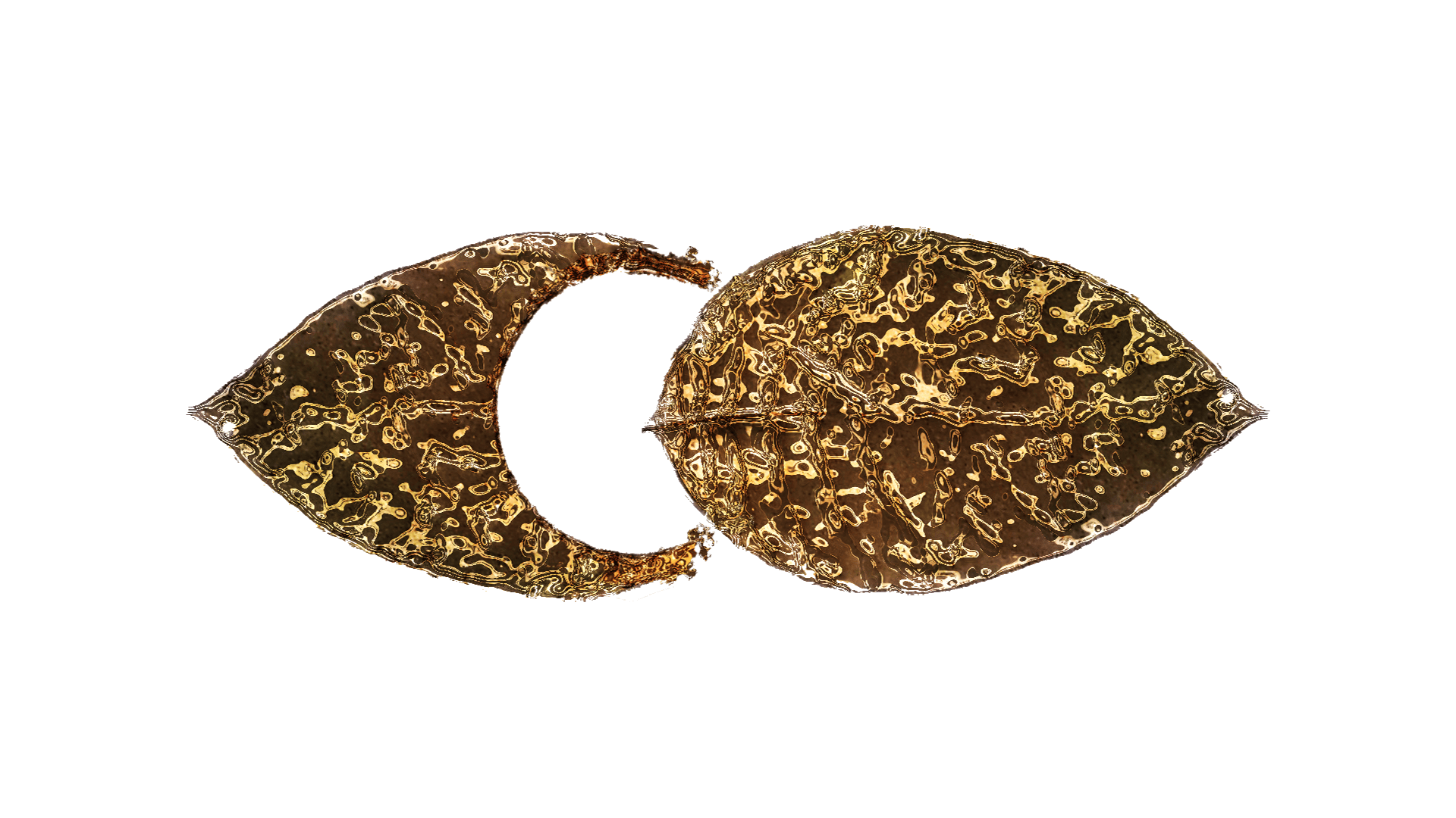 Metaformoz - Atahan Göktürk Güner Leaf