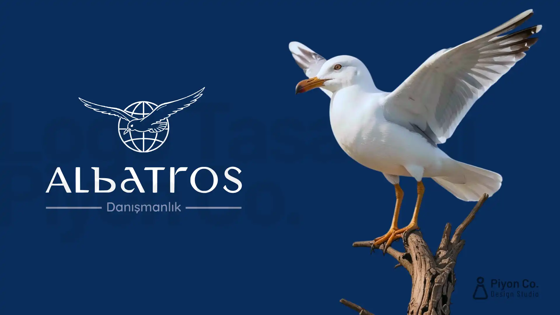 Albatros Logo