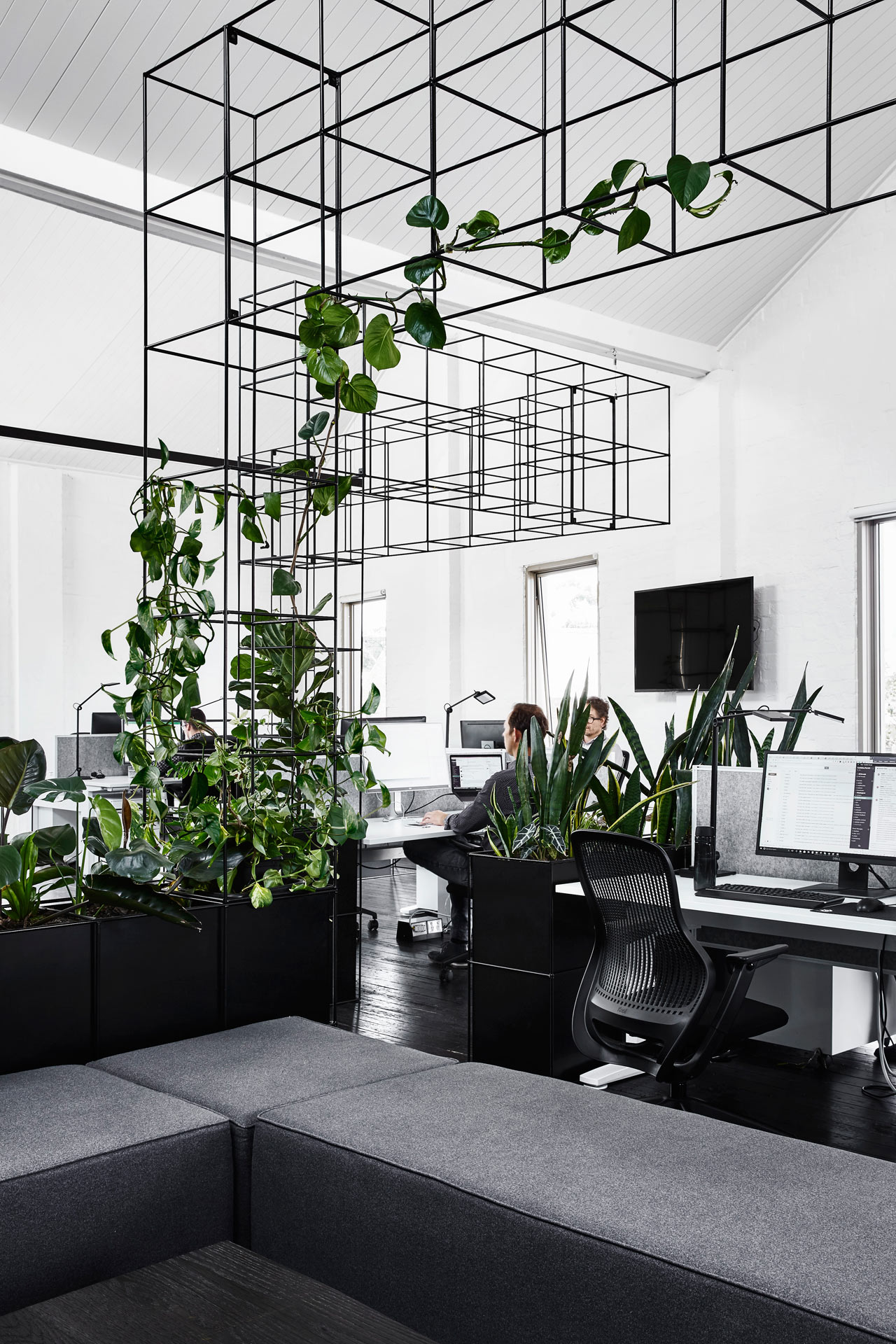 Biyofilik ofis tasarımı