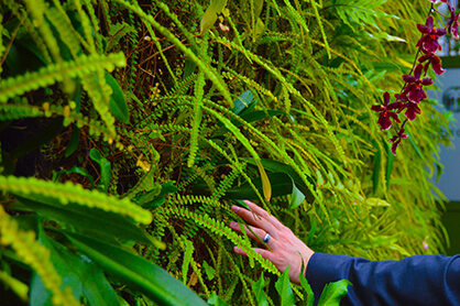 Biyofilik tasarım kavramı