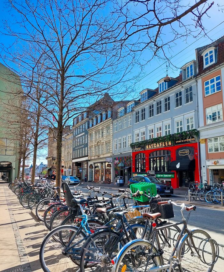 Kopenhag bisiklet yolları