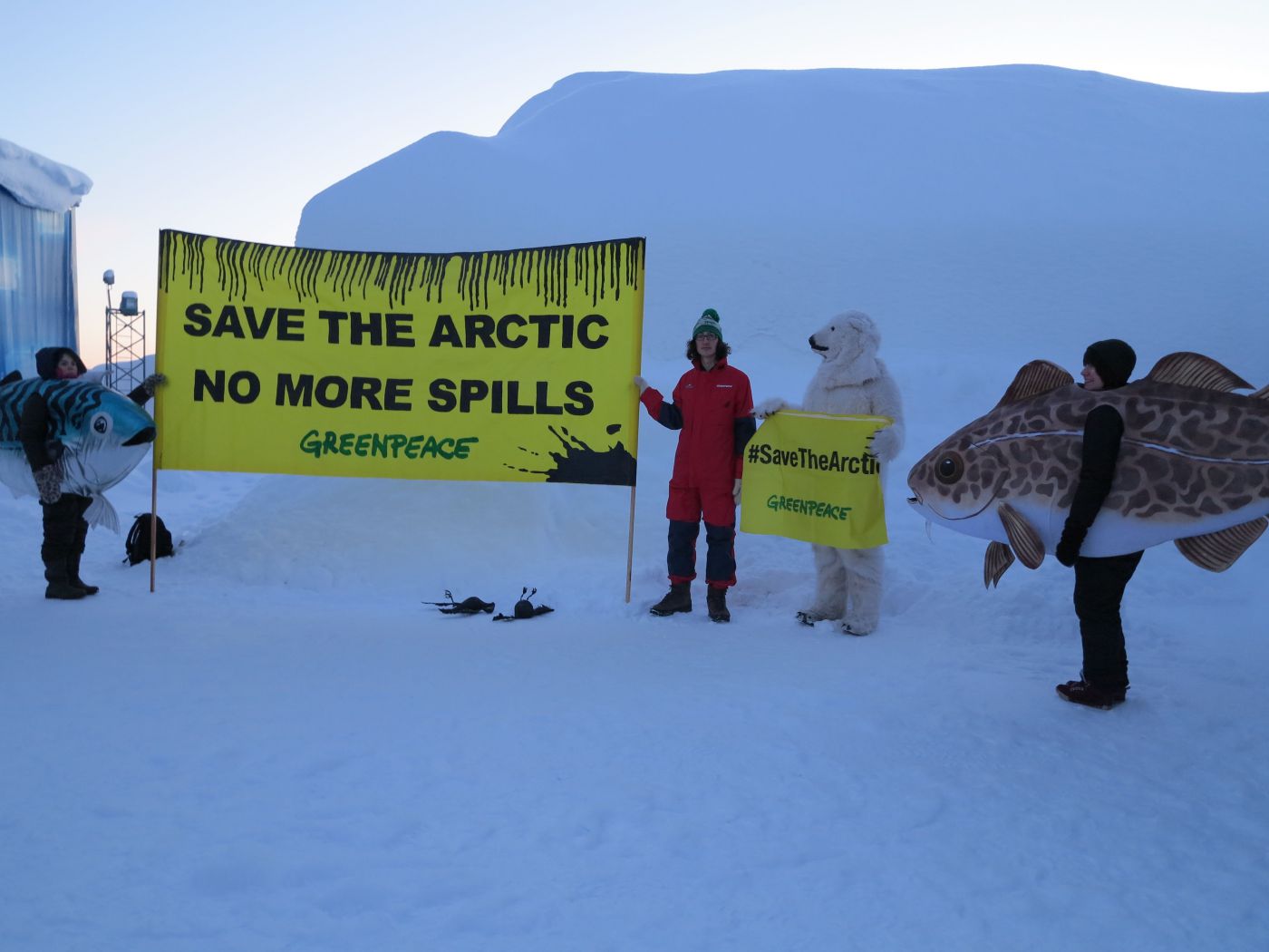 Save the arctic